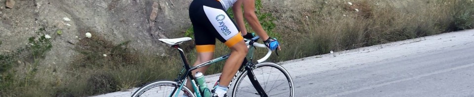 11703546_10203324598715942_2028652505702691391_o